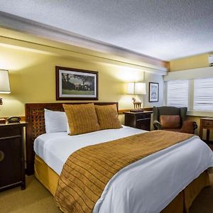 Chambre Exécutive Lit King-Size